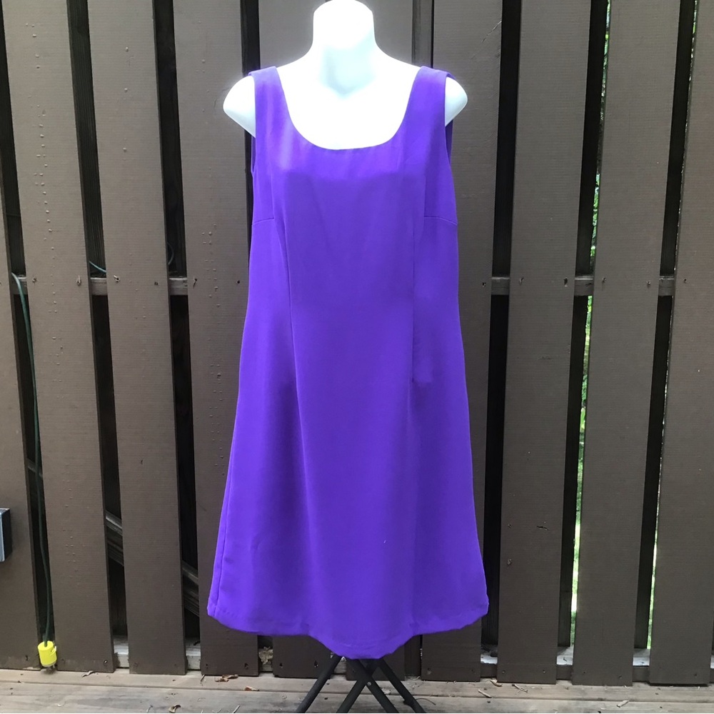 Gorgeous Danny & Nicole Dress, 14P Fits Smaller, 10?